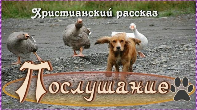 📗 "Послушание" ~ РАССКАЗ Христианский ~ для ДЕТЕЙ☀️ АУДИОРАССКАЗ смотреть онлайн