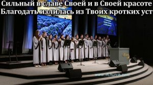 Странник я на земле