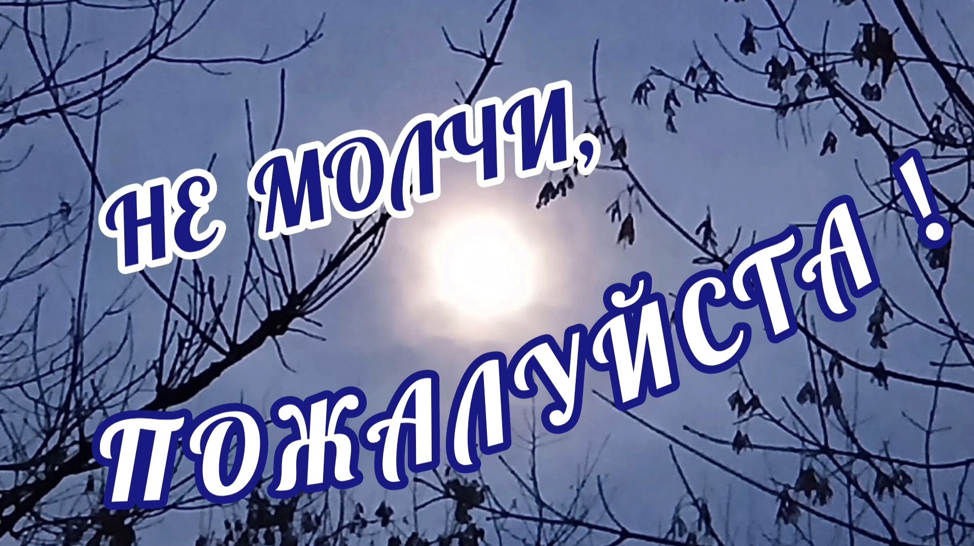 НЕ МОЛЧИ, ПОЖАЛУЙСТА! / ВАЛЕРИЙ СЁМИН