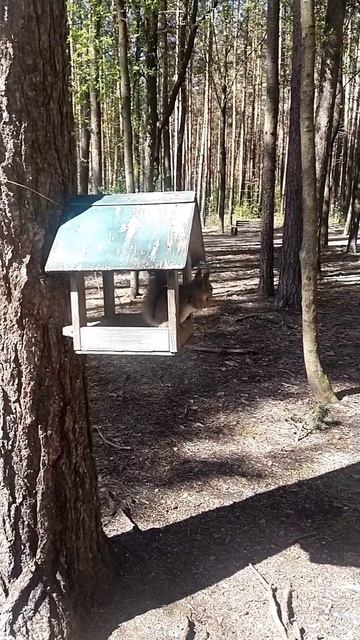 Созерцание.