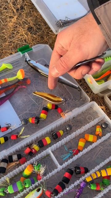 Какие приманки использовать при ловли щуки смотреть онлайн