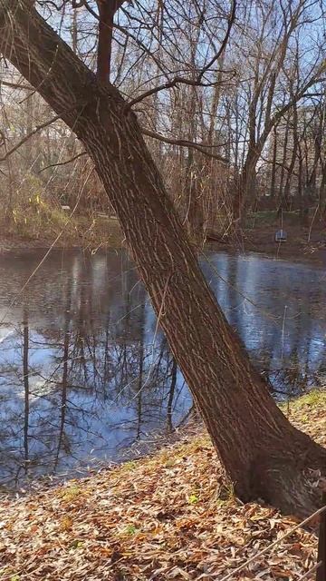 Аптекарский огород - место, где приходят мысли о будущем, прошедшем и безвозвратно прошедшем