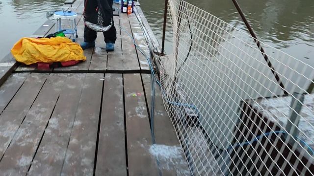 Спорт зона. смотреть онлайн