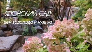 Японский сад в Краснодаре. Шум воды и музыка✅