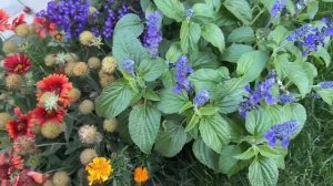 ВЛОГ Алиса отрастила ногти  и сделала маникюр у Алёны ! Разбираю коробки которые привезли от мамы !