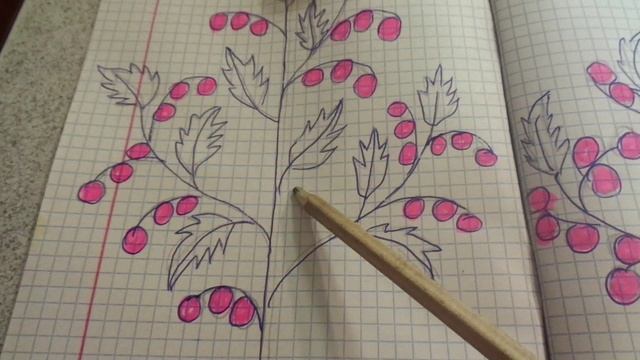 2 ТОМАТА В ОДНУ ЛУНКУ. Часть 1. КАКИЕ ПРЕИМУЩЕСТВА ПРИ ВЫРАЩИВАНИИ ДЕТЕРМИНАНТНЫХ СОРТОВ? 2018 год. смотреть онлайн