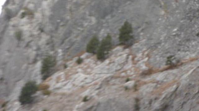 P1010745 смотреть онлайн