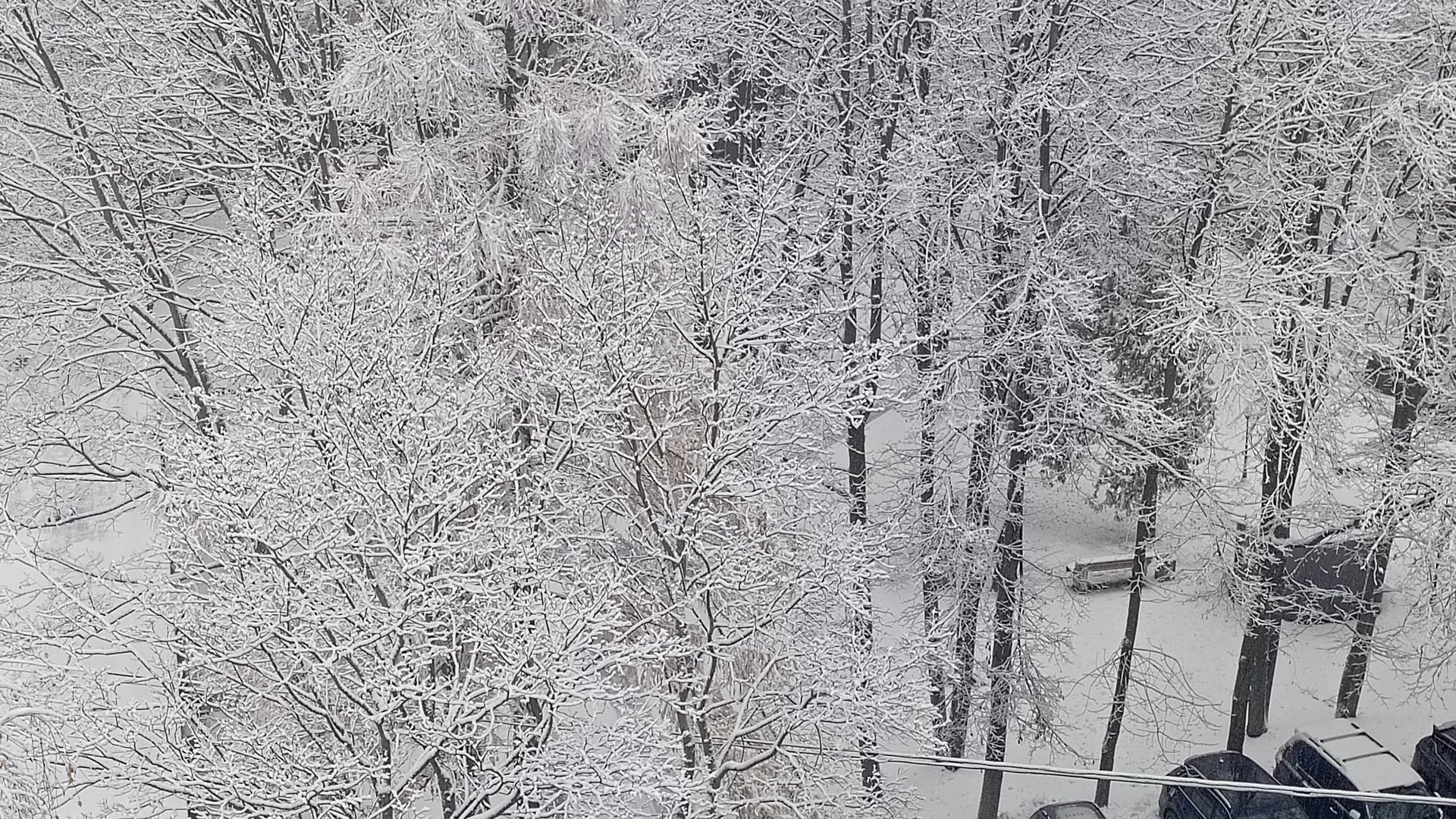 Снежное Царство смотреть онлайн