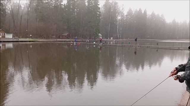 Успех в поимках форели зависит от форм фактора. Рыбалка на спорт-зоне в Клёвом месте лосиный остров смотреть онлайн