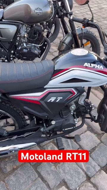 Мопед альфа Motoland RT 11 за 79.450 рублей #motoland #альфа #alpha ДОСТАВКА ПО ВСЕЙ РФ БЕСПЛАТНО смотреть онлайн