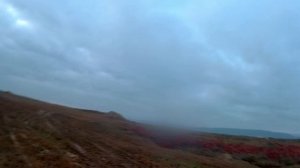 охота на утку с подхода