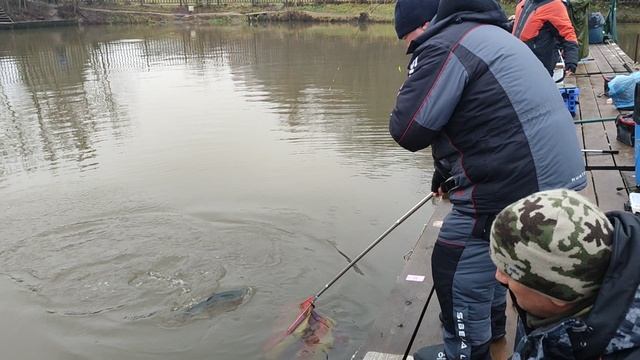 Спорт зона.. смотреть онлайн