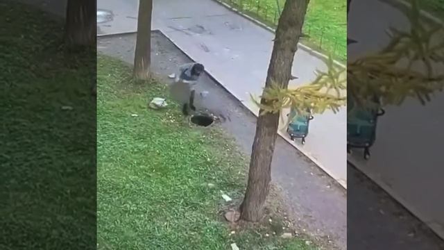 Мальчик упал в люк