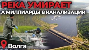 РыбийГлас#2 САМОСУД НАД БРАКОНЬЕРАМИ, ШТРАФЫ ЗА ЩУКУ, ВОЛГУ НЕ СПАСТИ?