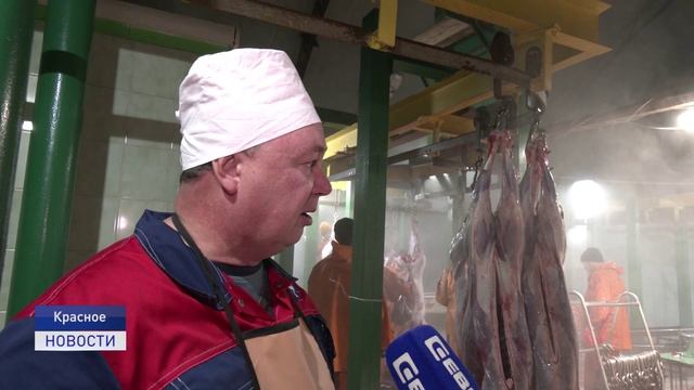 ГОДАМИ КРЕПКОЕ ХОЗЯЙСТВО смотреть онлайн