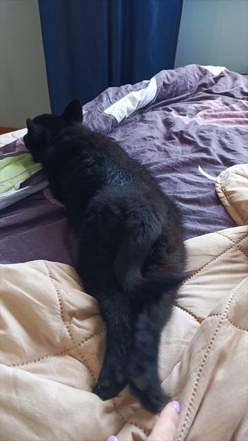 Щекотим пяточки смотреть онлайн