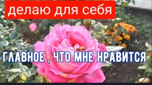#131🏡С ними справилась/Обработала розы/Сделала маникюр/Опять пельмешки