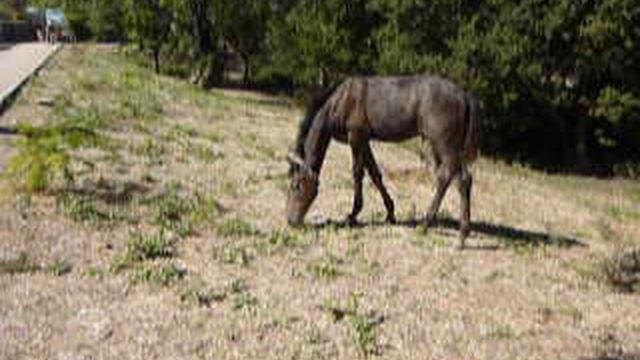 P1010861 смотреть онлайн