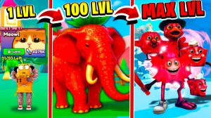 КУПИЛ MEOWL за 15.000 РОБУКСОВ! СДЕЛАЛ МАКСИМАЛЬНУЮ ЭВОЛЮЦИЮ ИТАЛЬЯНСКИХ БРЕЙНРОТОВ в Roblox