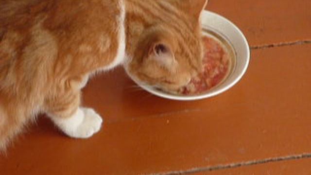 P1010692 смотреть онлайн