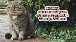 ДНЕВНИК лесного кота: «Барсик и его друзья!»  - 19.11.2025