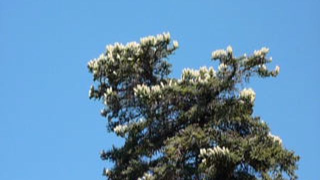 P1010513 смотреть онлайн