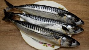 Скумбрия вкуснее красной рыбы. Рецепт за копейки
