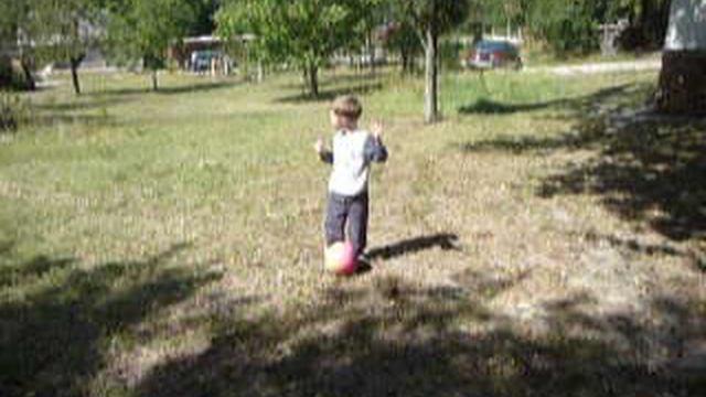 P1020010 смотреть онлайн