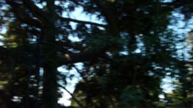 P1010514 смотреть онлайн