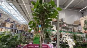 ВЛОГ Муж НЕ ХОЧЕТ покупать НОВЫЙ СТОЛ ‼️Ремонт в нашей квартире на море в Анапе !