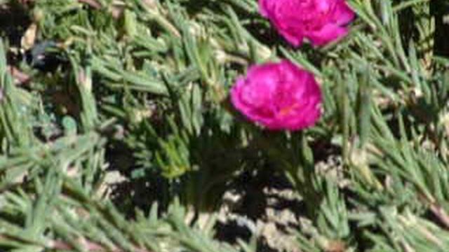 P1010524 смотреть онлайн