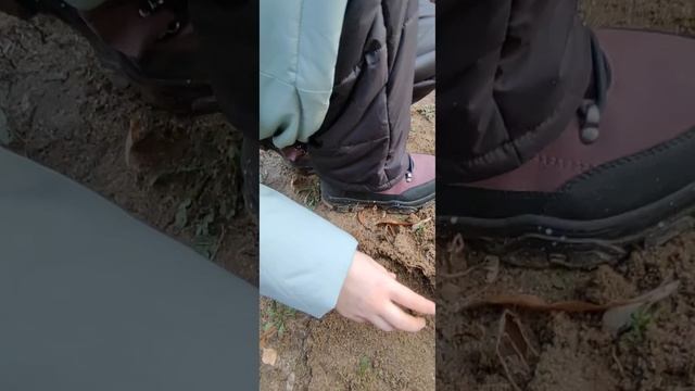 ИГРАЕМ В ВЫРАСТИ САД В РЕАЛЬНОЙ ЖИЗНИ!!
ВСЕ НЕМНОГО ИЗМЕНЕНО! смотреть онлайн