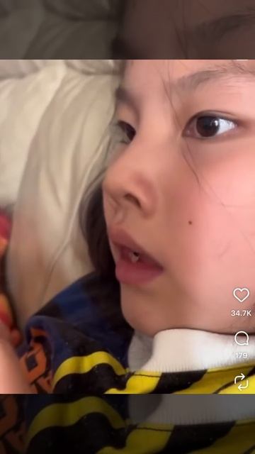 Попугай сломал смотреть онлайн