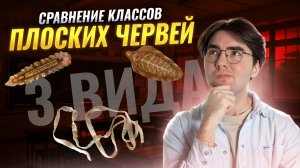 Сравнение классов плоских червей  I Онлайн урок по биологии  I Умскул