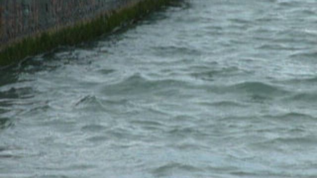 P1010835 смотреть онлайн