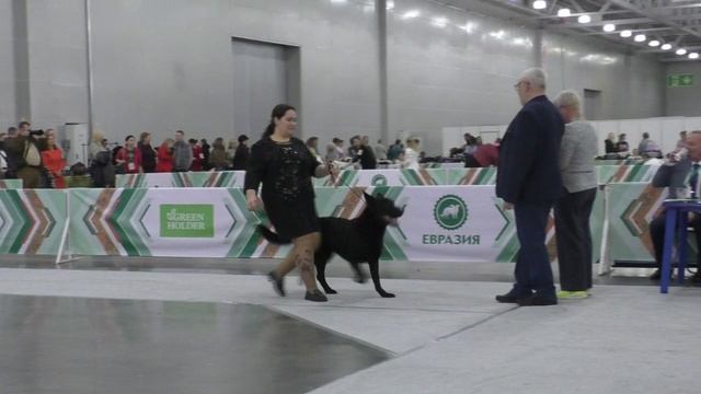 Русская Легенда Ундина смотреть онлайн