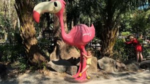 Оюна Боваева | детский блогер Открытый зоопарк Кхао Кхео в Таиланде