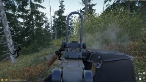 Лесной пикник