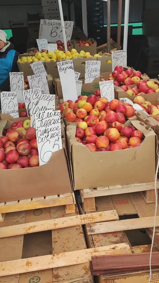 Белгород. Рынок Мирный на Чечерина. Яблоки от 45 руб за 1 кг. 23 ноября 2025 год. смотреть онлайн