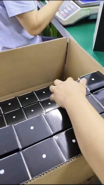 Videos2025-11-24_161559_361