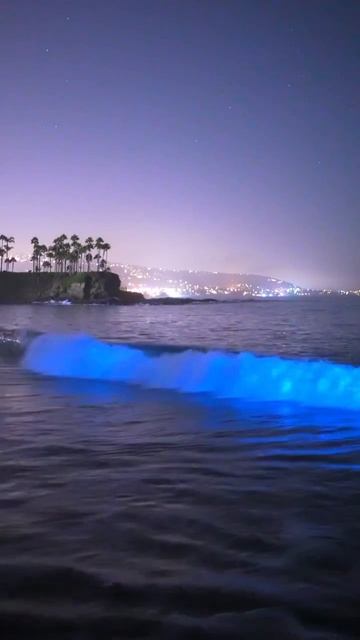 Волна. смотреть онлайн