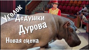 Мир животных в уголке Дедушки Дурова