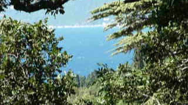 P1010509 смотреть онлайн