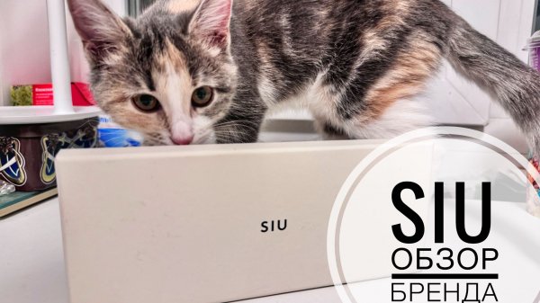 SIU | знакомство с брендом