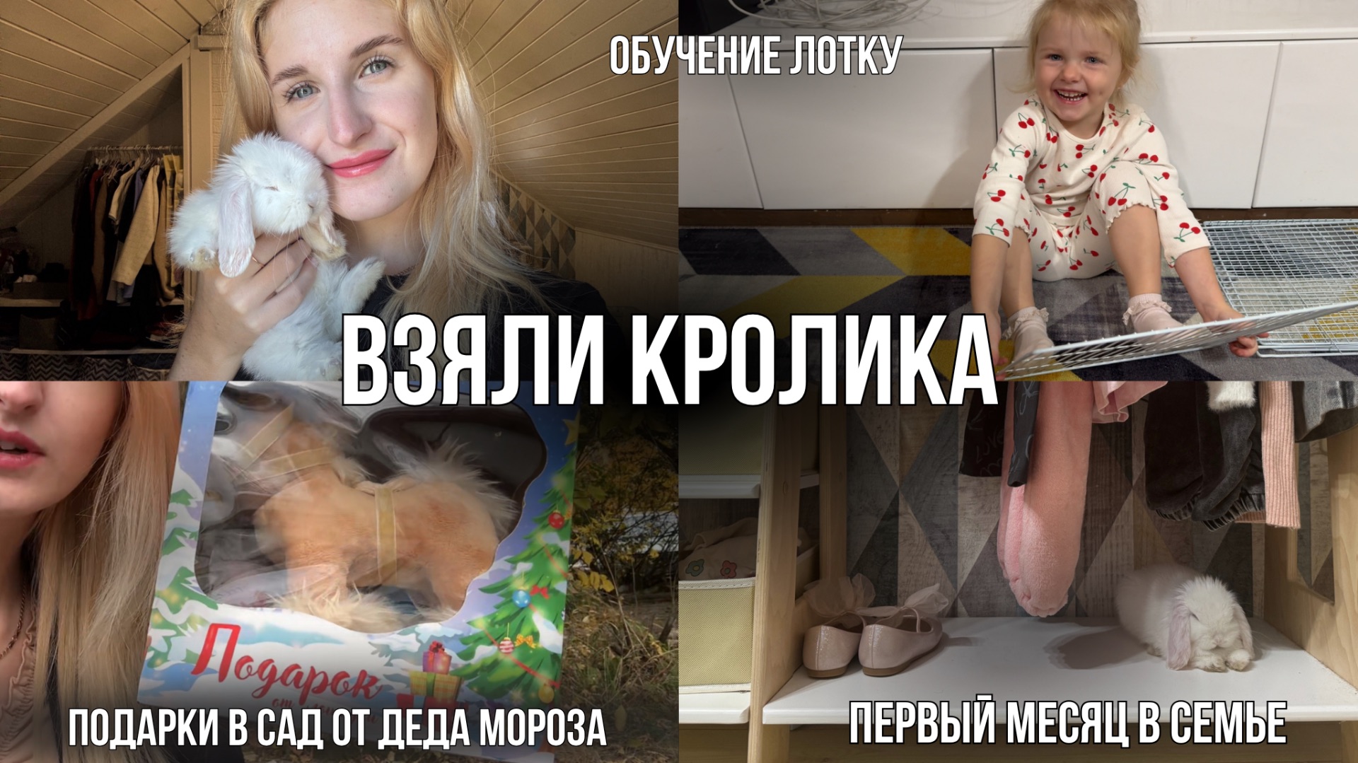 КРОЛИК НА СВОБОДНОМ ВЫГУЛЕ 🐇 | Первый месяц в семье | обучение лотку, запах, меченье территории