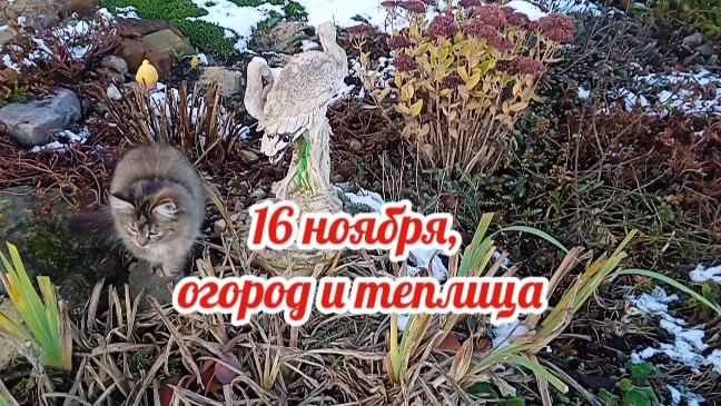 Огород и теплица 16 ноября 2025 смотреть онлайн