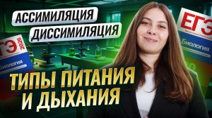 Ассимиляция и диссимиляция | Просто о сложном | Типы дыхания и питания | Биология ЕГЭ | Умскул
