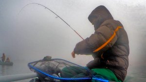 Рыбалка на щуку в ноябре на спиннинг. Крупная щука и судак, один за другим! Вот это удачная рыбалка!