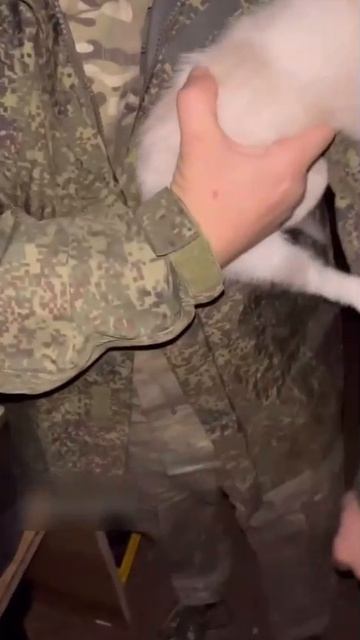 Позывной "Дикий." смотреть онлайн