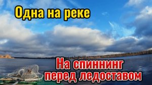 Перед самым ледоставом ловлю на спиннинг и очень удачно.